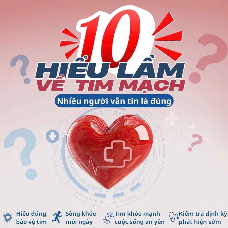 10-hieu-lam-ve-tim-mach.jpg